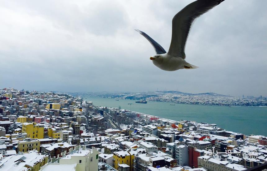 Istanbul In Winter